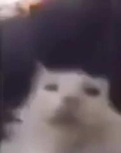 That's quite a bit of mold..