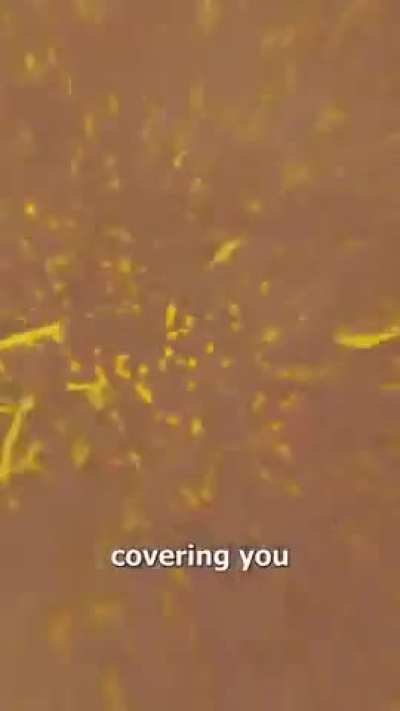 never dry your hands with air dryers in public bathrooms. Fecal aerosols are real. Don’t dry with airborne poop. Public toilets honestly need UV and HEPA filters.