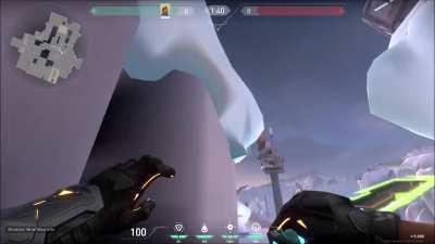 Molotov of the Week #2