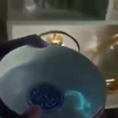 Fish glows a luminous blue under UV light.