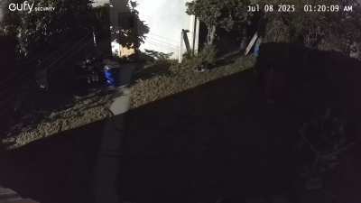 A few weeks ago in my alley…