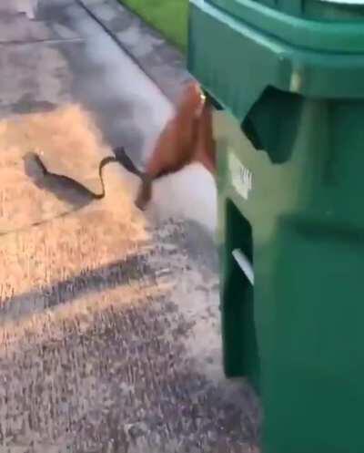 Damn why Fletcher Cox ran through Dak like that 🤣🤣🤣