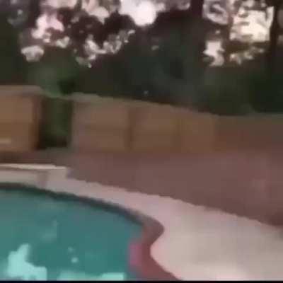 biggest failure known to mankind