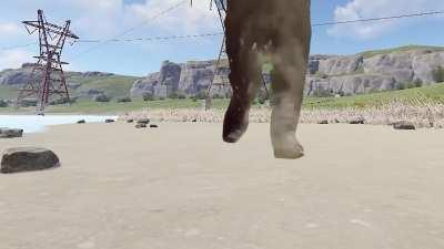 POV roofcampers on the beach