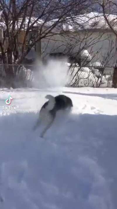 This is revenge for the cone!