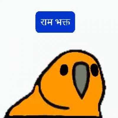 I made a bhagwa parrot