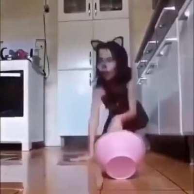 Cats don't even behave like this