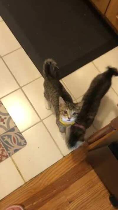 Crackers demands supper