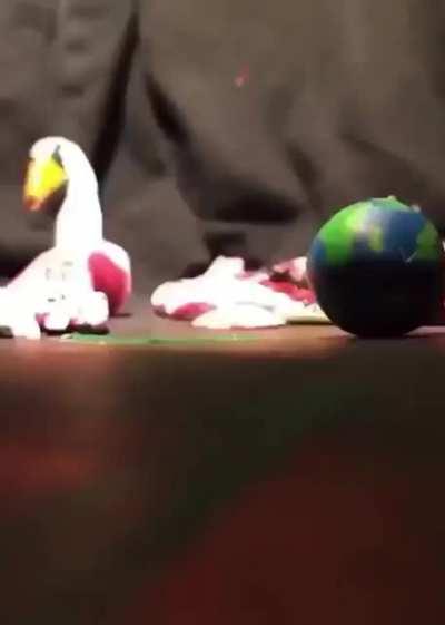 weirdvideosfor3am - Video #0539