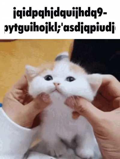 bed)hcbdbnuncinsubcusmxkmsjnxjs