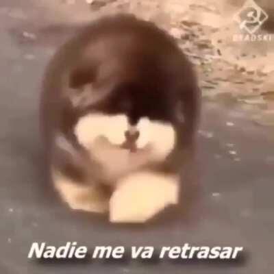 Mi segundo post wn :3