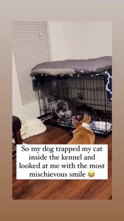 He's so proud of himself! 😂