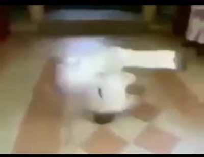 hope this is moldy enough