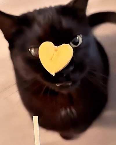 Car has snack malfunction