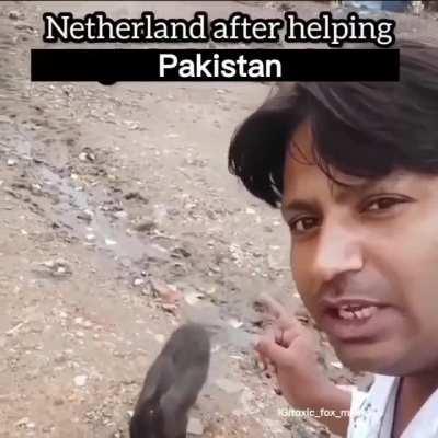 T:- people feed dogs but try feeding them once, you will go to heaven