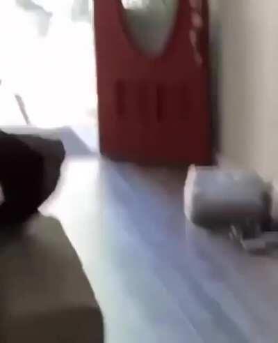 Indoor scooter riding