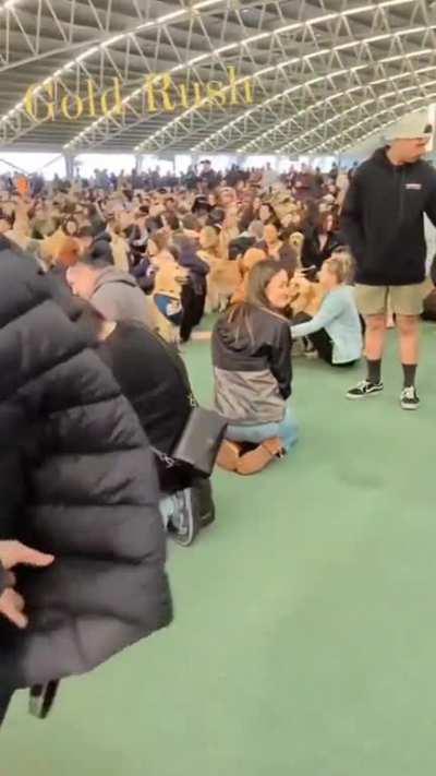 The Melbourne Gold Rush was an attempt to break the world record for the largest Golden Retriever meetup. They smashed it with over a 1000 good boys/gals.