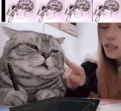 The intern does NOT understand the job as explained