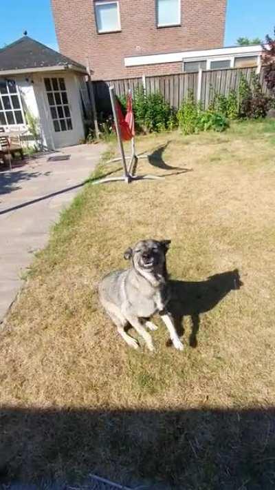 How to slow down eating