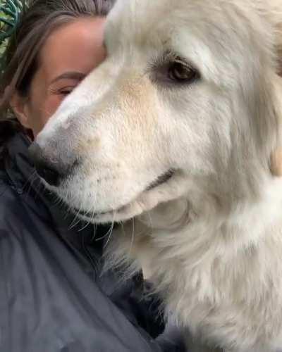 Isn‘t this the kind of love we all need?