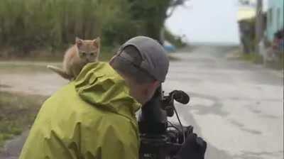 Well I'mma go have a look.