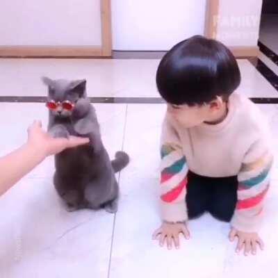 Вот как пездюка надо дрессировать.