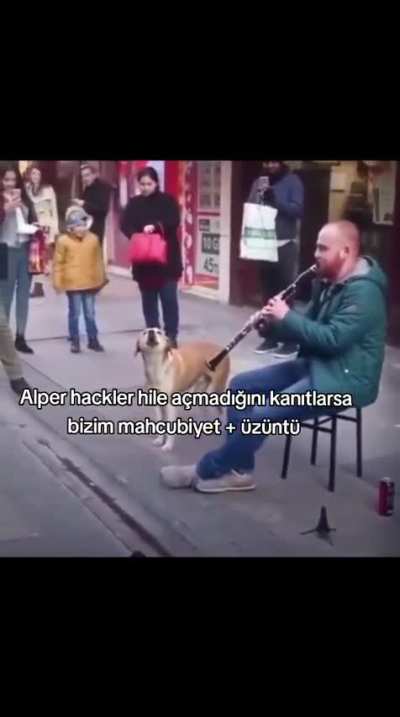 alper aslındahacklemez🚬