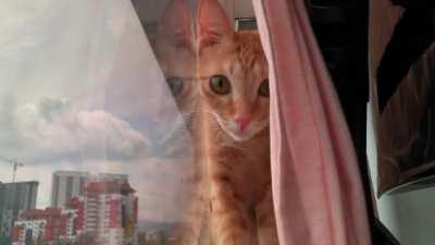 Found her hiding spot