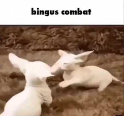 Show me a good time, Jack!