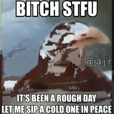 Song is California Dreaming