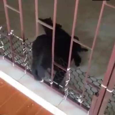 That grate looks kinda painful.