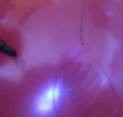 Ah, just another regular Friday night... right?