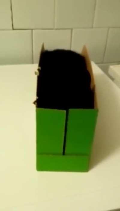 Just an empty box, nothing to see here