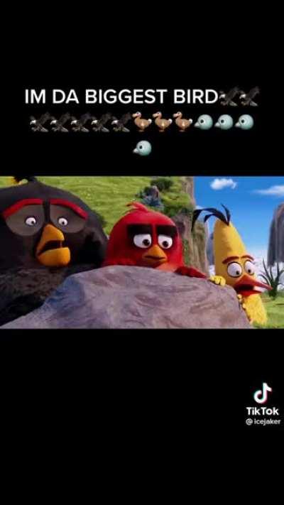 Real bird bidness 🦅🦅🦅