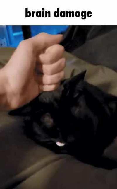 ah hevvens no!!!!!!! anmal abuus!!!!!!!!!!! ð­ð­ð­ð­ð­ð­ð­ð­ð­ð­ð­ð­