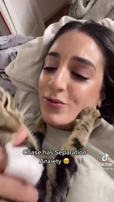 Chase has Separation Anxiety