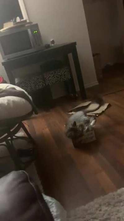 If there’s a will, there’s a way