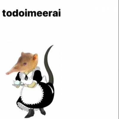 Solenedon singing multilingual