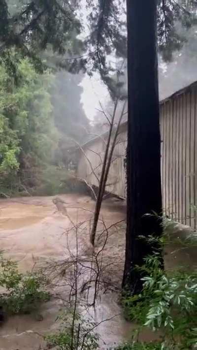 The log destroyed one of the legs of historic Powder Works covered bridge on San Lorenzo River. 01/09/23
