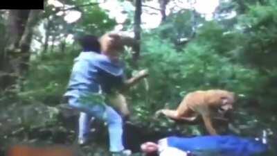 The Amazing Adventures of Bobs & Vagene