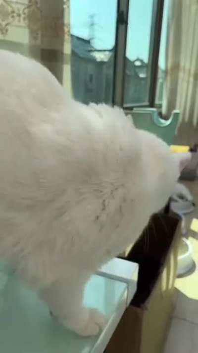 Ну и мразь же ты!