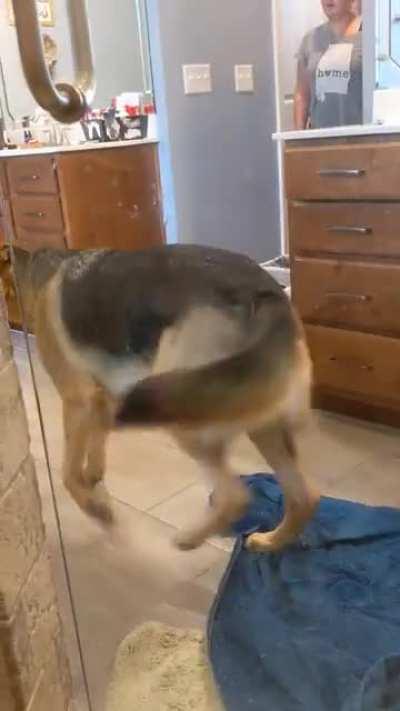 He came to say good morning!