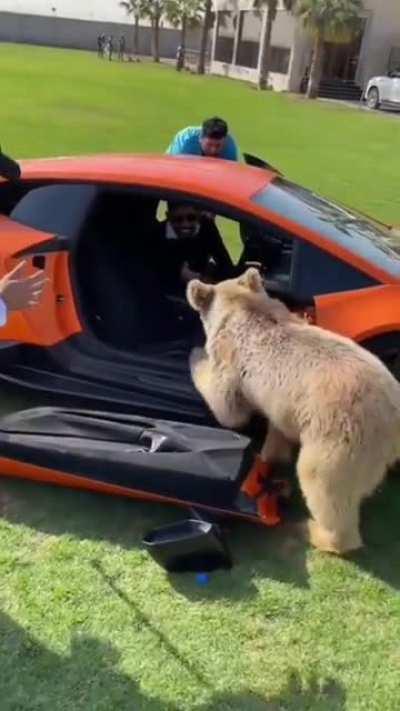 There’s a lot to unpack here