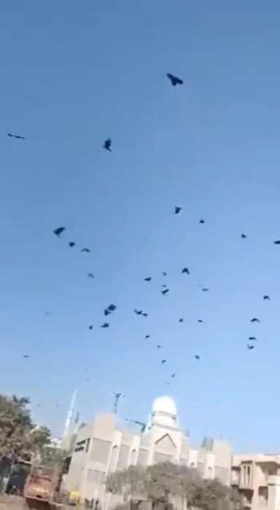 your jutsu's weakness is my existence