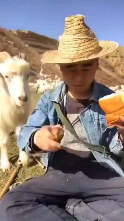 Da um pedaço? Perdeu