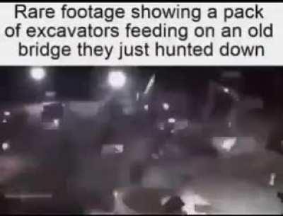 Nature is beautiful, and cruel.