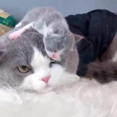 The joys of parenthood.