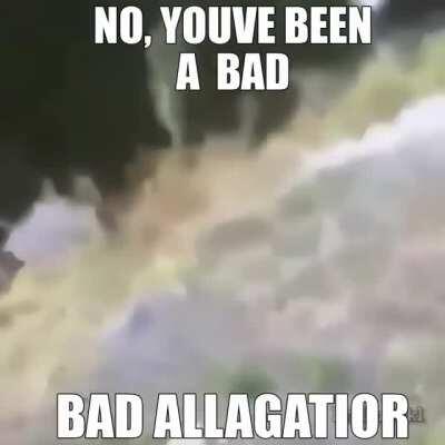 bad aligator, no monkeys for you