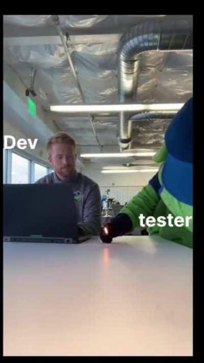 Developer vs Tester