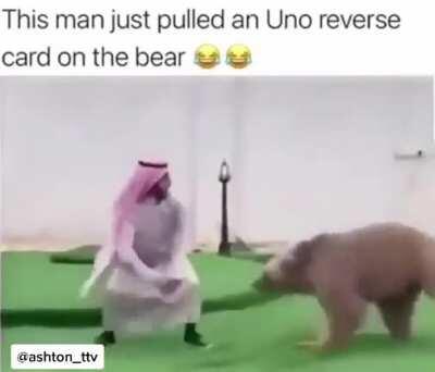 Playing tag with a bear!